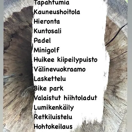 Ellivuori Suurempi Hotellihuone 24m2 Jaervinaekoealalla Hyvae Varustelu *