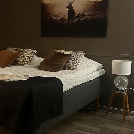 Ellivuori Suurempi Hotellihuone 24m2 Jaervinaekoealalla Hyvae Varustelu * Sastamala