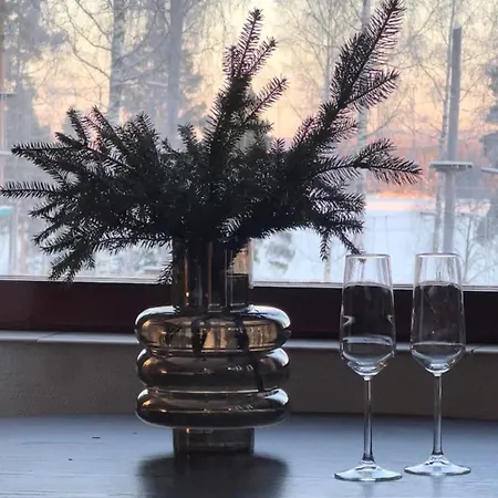 Ellivuori Suurempi Hotellihuone 24m2 Jaervinaekoealalla Hyvae Varustelu Sastamala